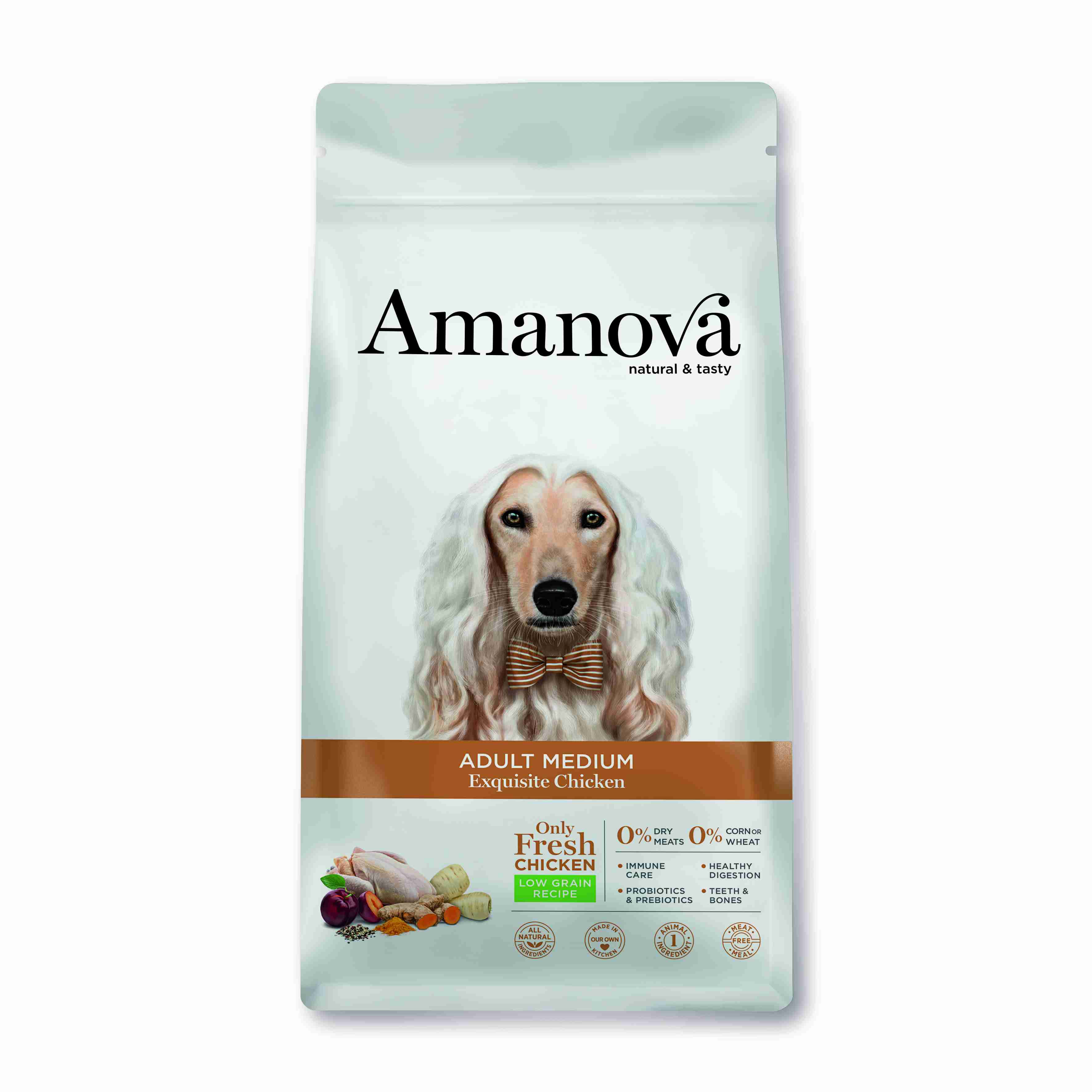 Best Pet Groomer